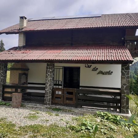 La Cabana Băile Borşa Buitenkant foto