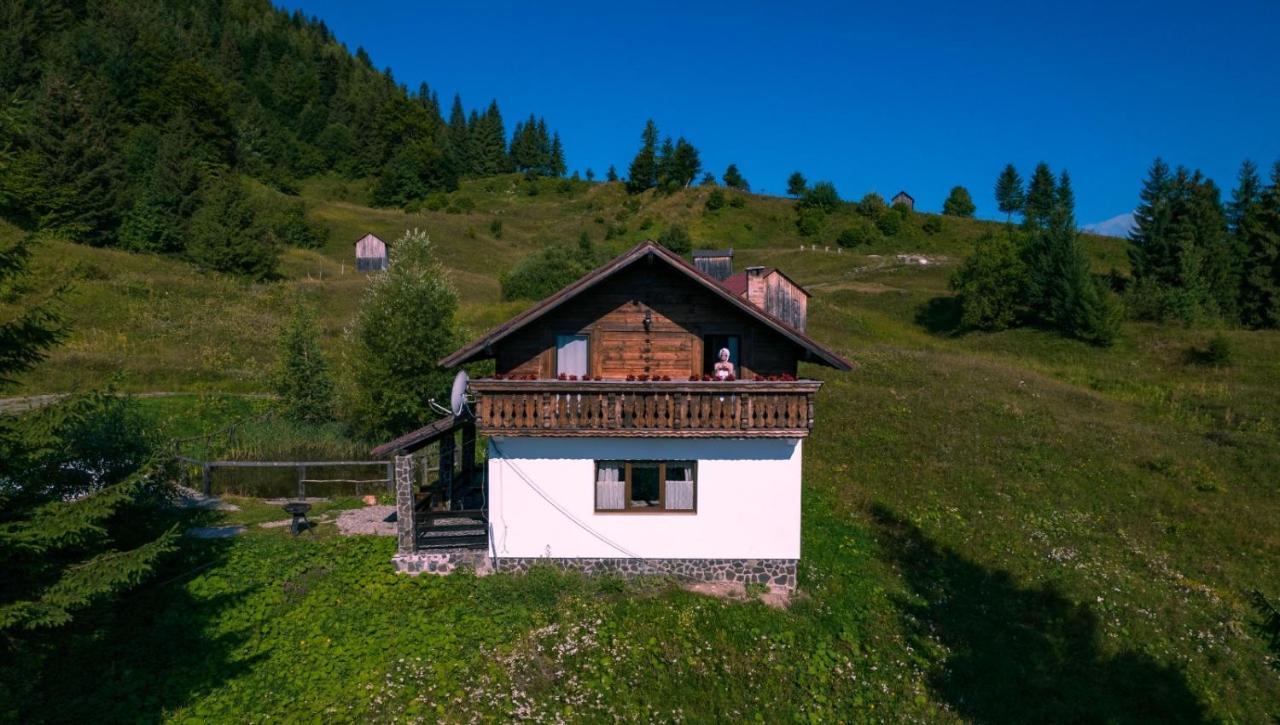 La Cabana Băile Borşa Buitenkant foto