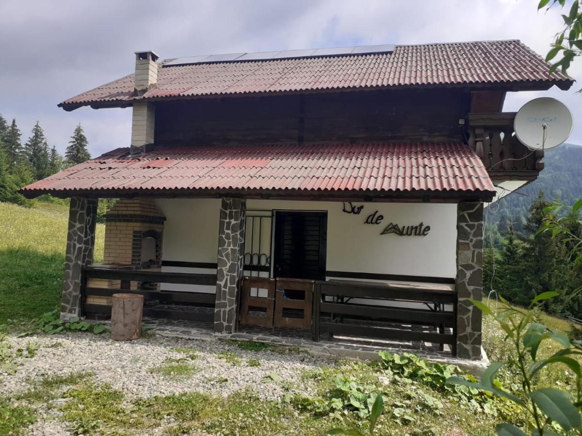 La Cabana Băile Borşa Buitenkant foto