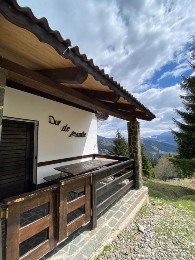 La Cabana Băile Borşa Buitenkant foto
