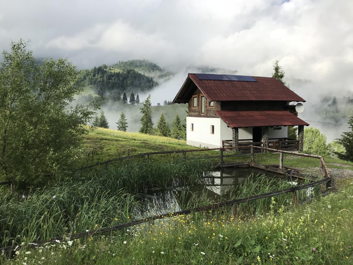 La Cabana Băile Borşa Buitenkant foto