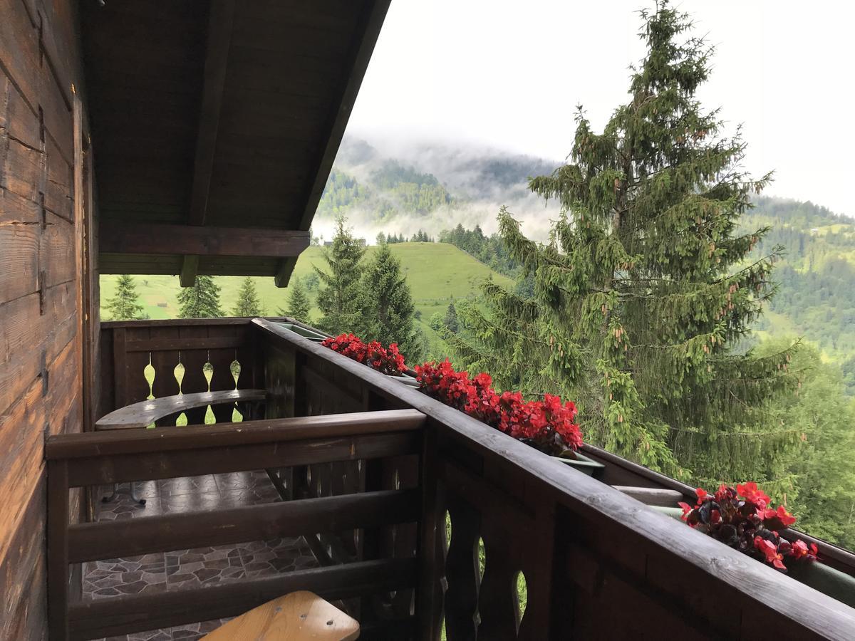 La Cabana Băile Borşa Buitenkant foto